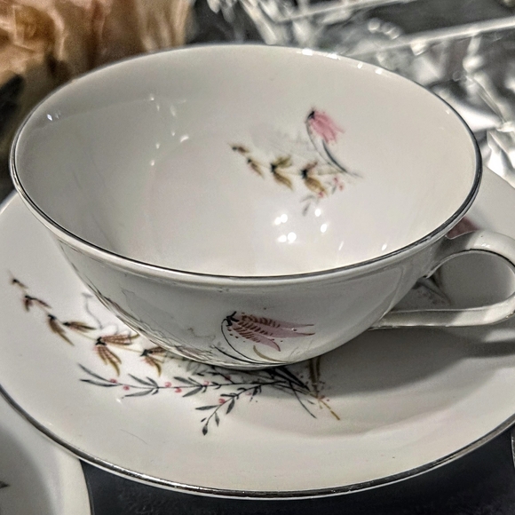 Vintage Royal Dutchess Mountain Bell Bavarian China footed cup & 6" B&B plates - Picture 4 of 8